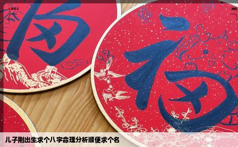 儿子刚出生求个八字命理分析顺便求个名