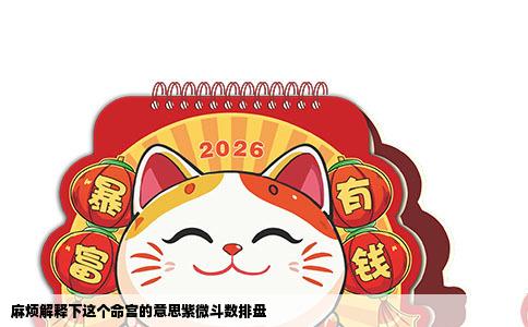 麻烦解释下这个命宫的意思紫微斗数排盘