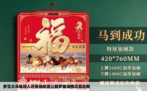 梦见大乌龟咬人还有色蛇周公解梦查询佛滔算命网