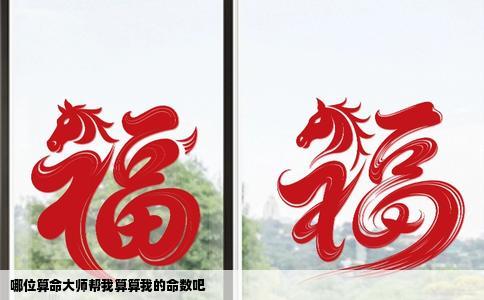 哪位算命大师帮我算算我的命数吧