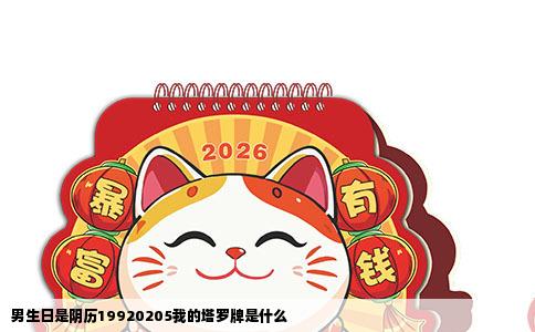 男生日是阴历19920205我的塔罗牌是什么
