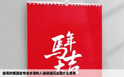 能看的懂算命专业术语的人请进请问这是什么意思
