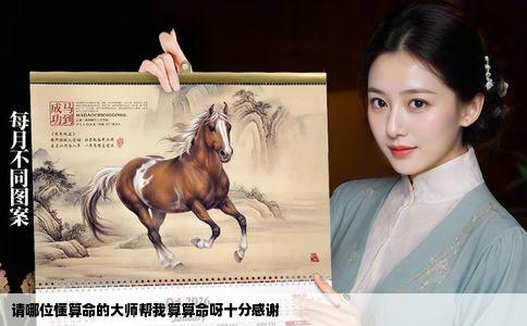 请哪位懂算命的大师帮我算算命呀十分感谢