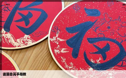 请算命高手指教