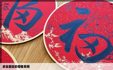 求会算命的帮我看看