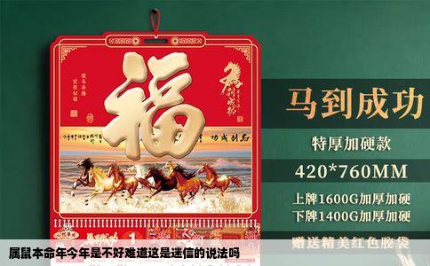 属鼠本命年今年是不好难道这是迷信的说法吗