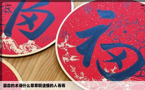 算命的术语什么意思啊请懂的人看看