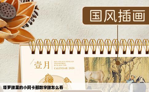 塔罗牌里的小阿卡那数字牌怎么看