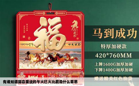 有谁知道算命里说的午火巳火比肩是什么意思