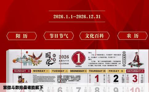 紫微斗数排盘谁能解下
