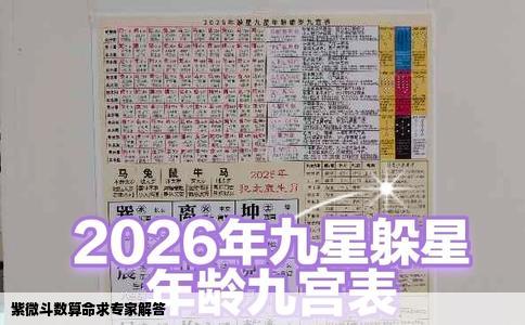 紫微斗数算命求专家解答