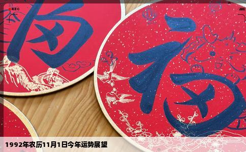 1992年农历11月1日今年运势展望