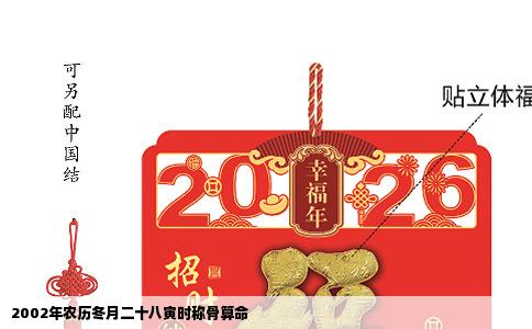 2002年农历冬月二十八寅时称骨算命