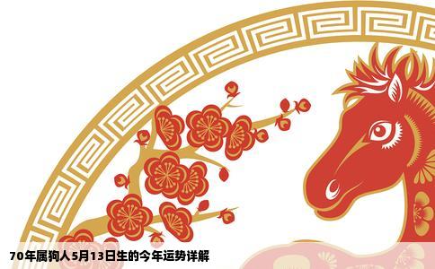 70年属狗人5月13日生的今年运势详解