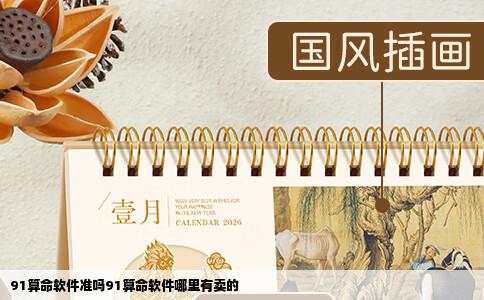 91算命软件准吗91算命软件哪里有卖的