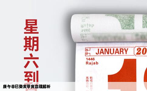 庚午辛巳癸亥甲寅命理解析