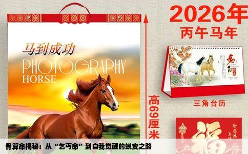 骨算命揭秘：从“乞丐命”到自我觉醒的蜕变之路