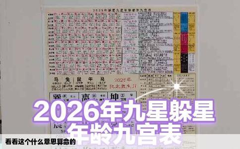 看看这个什么意思算命的
