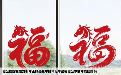 老公属蛇我属龙明年正好是我本命年后年是我老公本命年能结婚吗