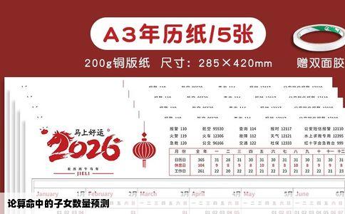 论算命中的子女数量预测