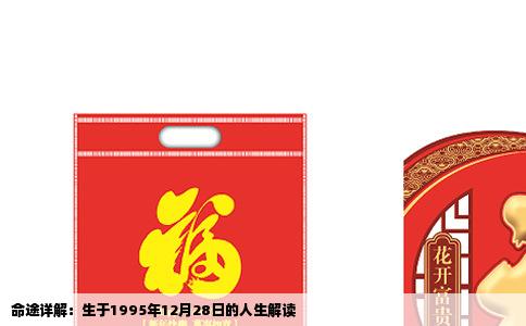 命途详解：生于1995年12月28日的人生解读