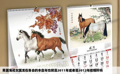 男属兔和女属龙在各自的本命年也就是2011年或者是2012年结婚好吗
