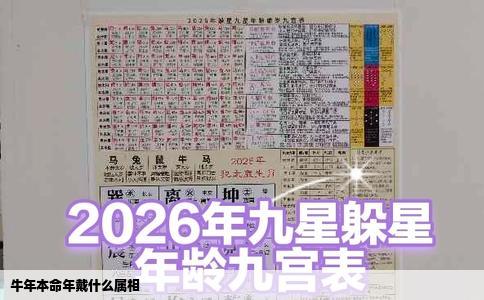 牛年本命年戴什么属相