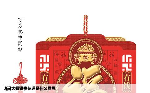 请问大师犯桃花运是什么意思