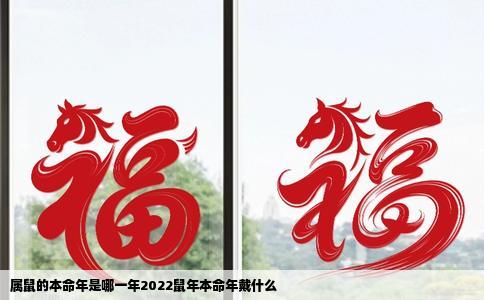 属鼠的本命年是哪一年2022鼠年本命年戴什么