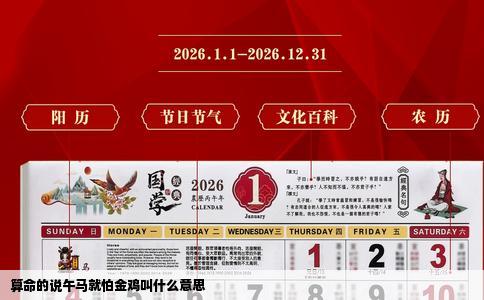 算命的说午马就怕金鸡叫什么意思