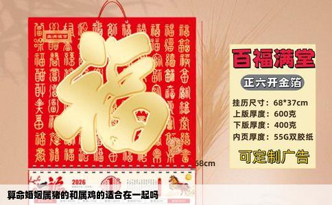 算命婚姻属猪的和属鸡的适合在一起吗