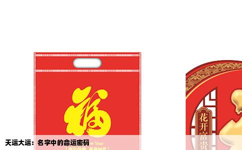 天运大运：名字中的命运密码