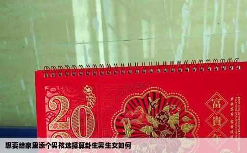 想要给家里添个男孩选择算卦生男生女如何