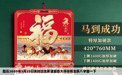 阳历2009年5月23日亥时出生男请算命大师按照生辰八字算一下