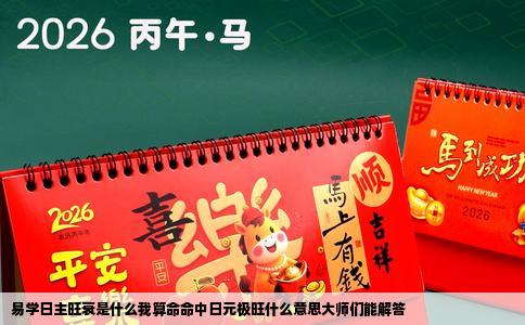 易学日主旺衰是什么我算命命中日元极旺什么意思大师们能解答