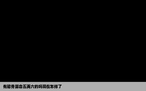 有称骨算命五两六的吗现在怎样了