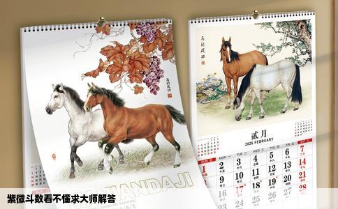 紫微斗数看不懂求大师解答