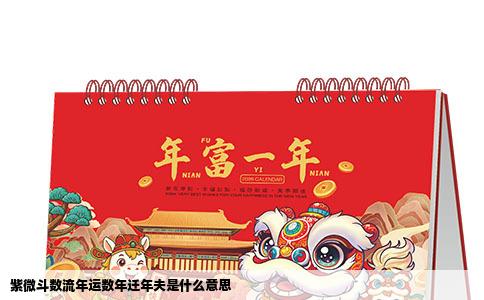 紫微斗数流年运数年迁年夫是什么意思