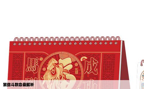 紫微斗数命盘解析