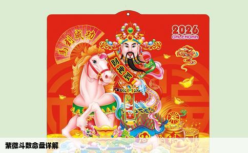 紫微斗数命盘详解