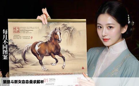 紫微斗数女命命盘求解析