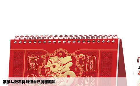 紫微斗数怎样知道自己属哪颗星